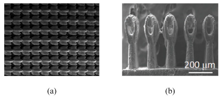 Figure 14
