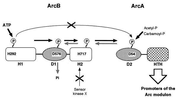 FIG. 5