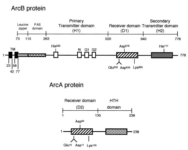 FIG. 1