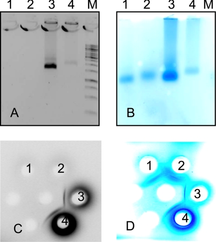 FIG. 5.