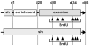 Fig.3
