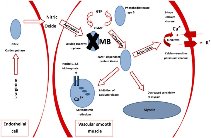 Figure 5