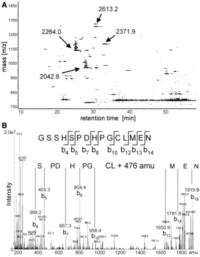 Figure 3.