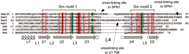 Figure 5.