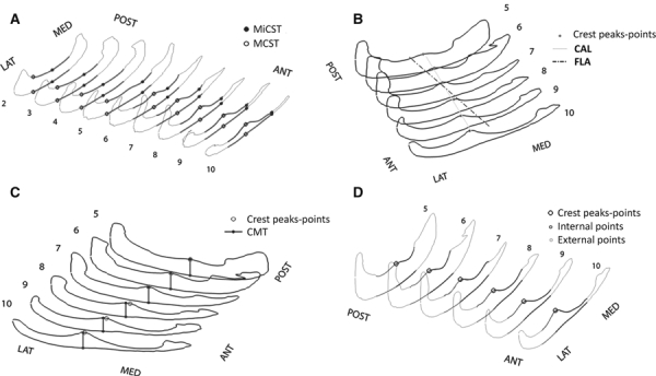 Fig. 6