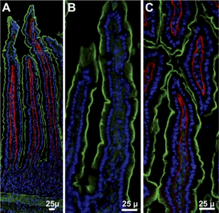 Fig. 3.