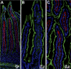 Fig. 3.