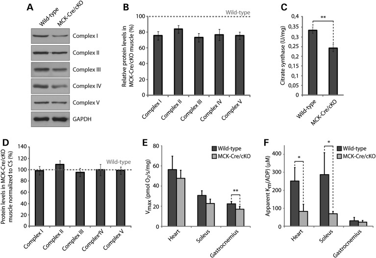 Figure 2.