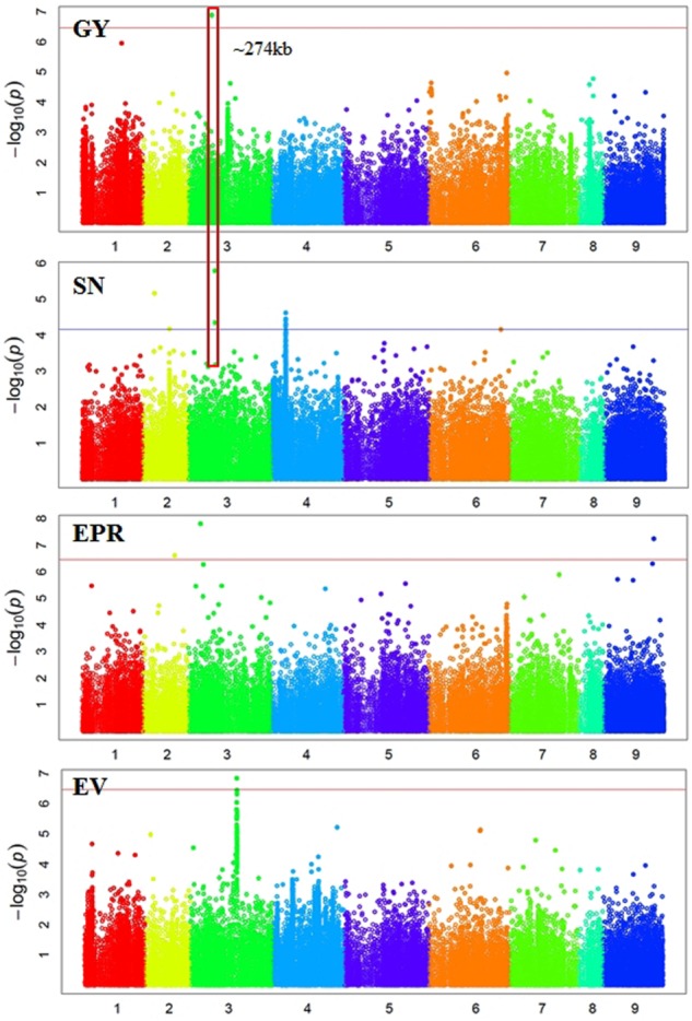 FIGURE 2