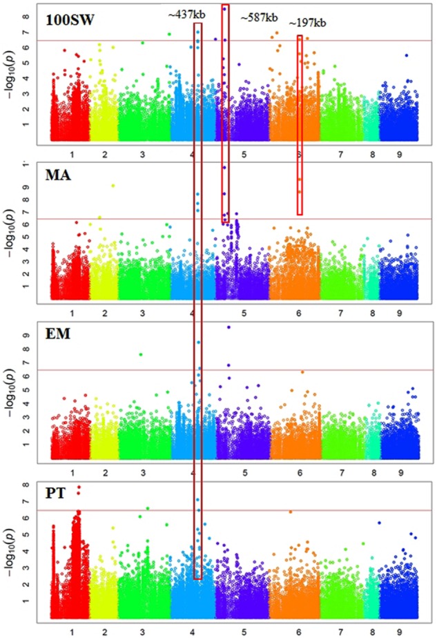 FIGURE 3