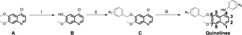 Scheme 1