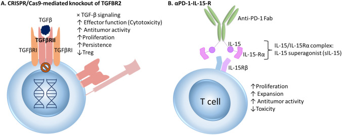 Fig. 2
