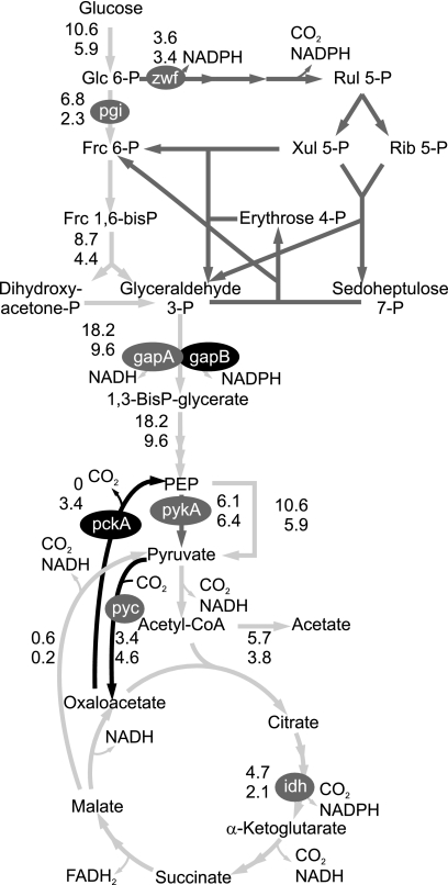 FIG. 1.