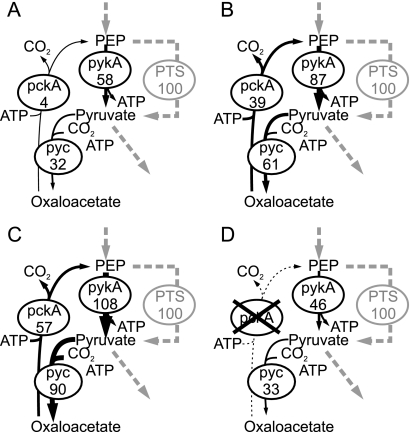 FIG. 4.