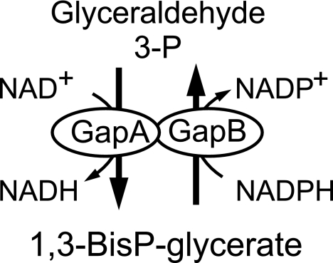 FIG. 7.