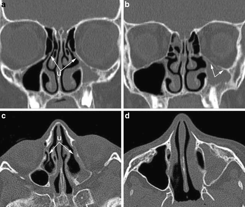 Fig. 8