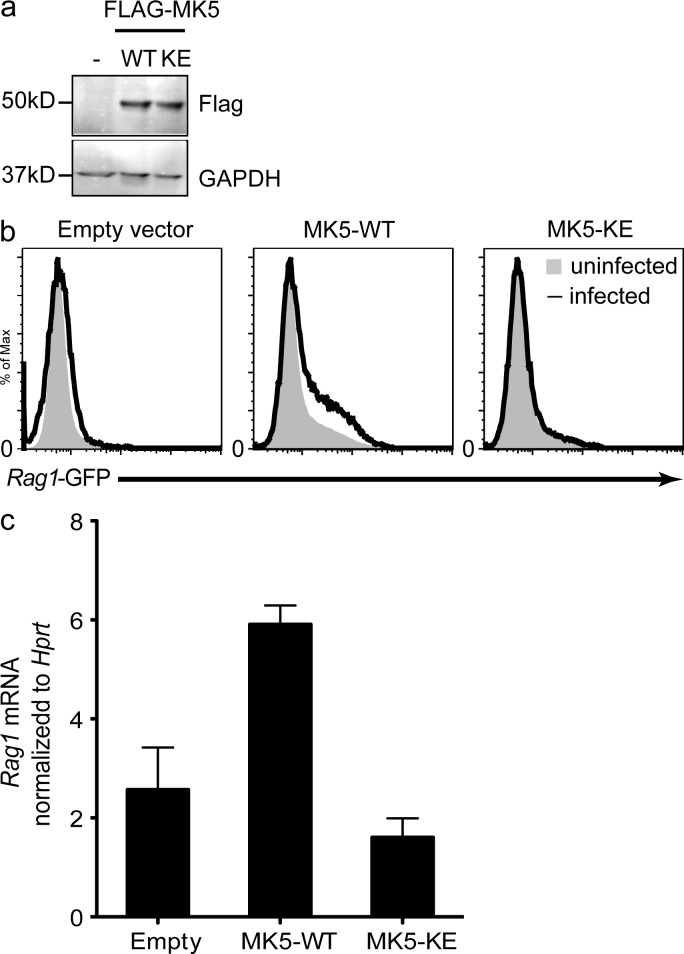 Figure 5.