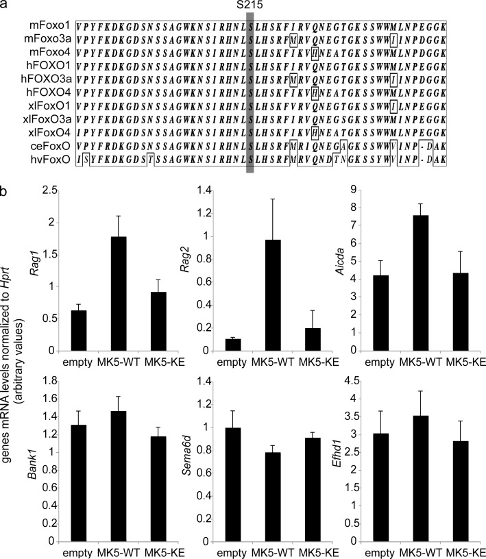 Figure 7.