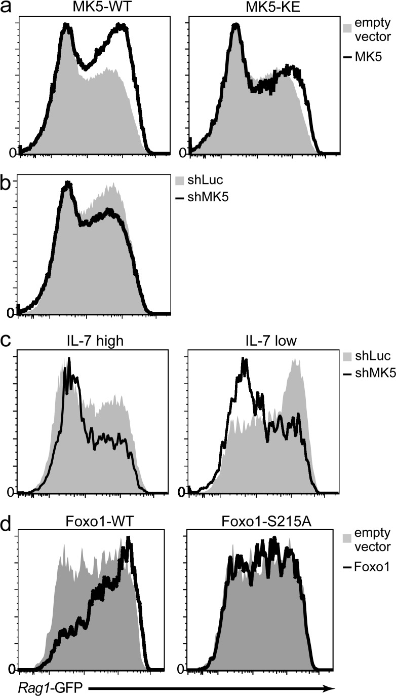 Figure 10.