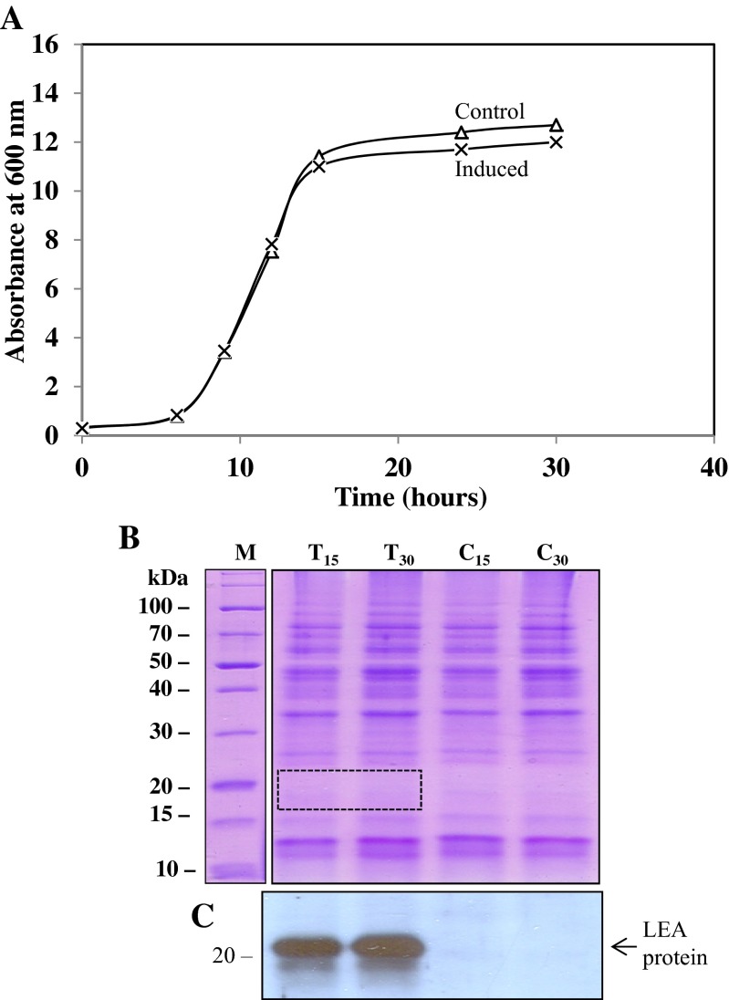 Fig. 10