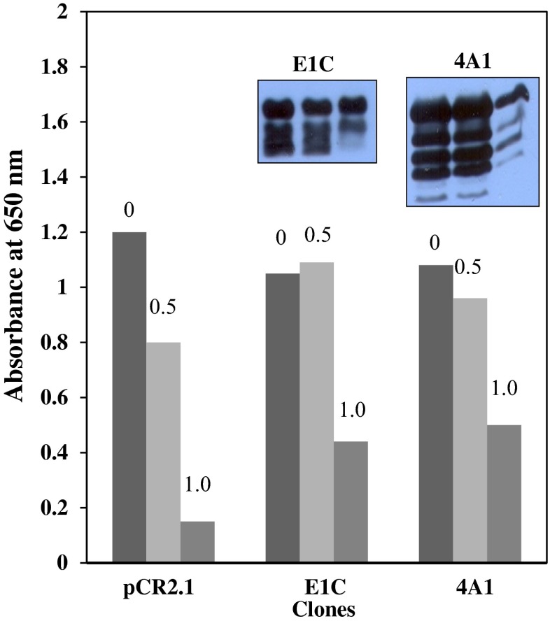 Fig. 8