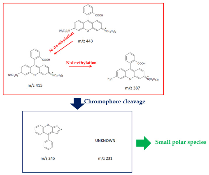 Figure 7