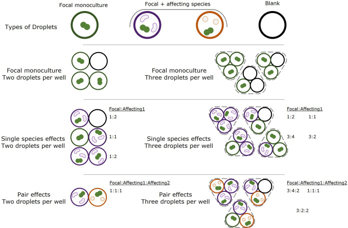 Figure 1—figure supplement 1.