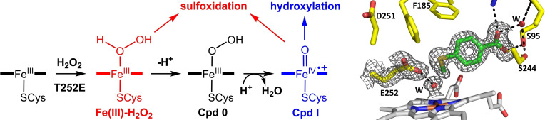 graphic file with name CHEM-28-0-g002.jpg