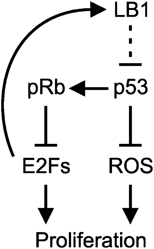 Figure 8.