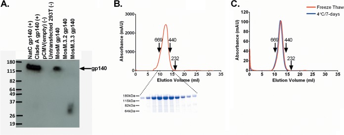 FIG 2