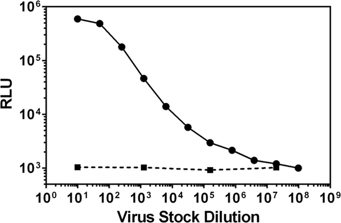 FIG 8