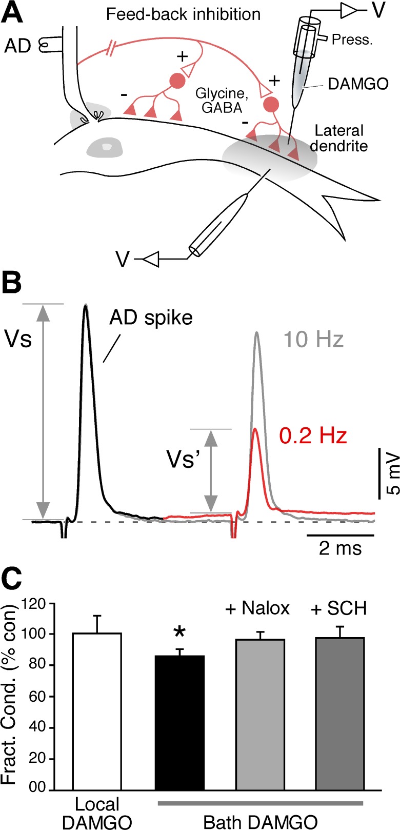 Fig. 4.