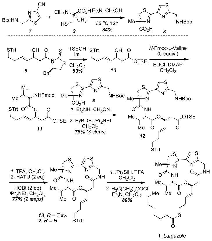 Scheme 1