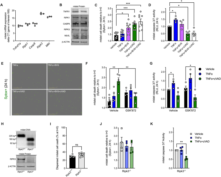 Figure 6