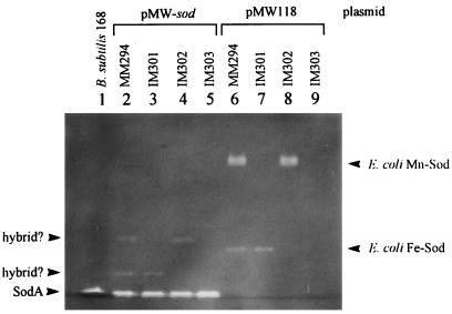 FIG. 7