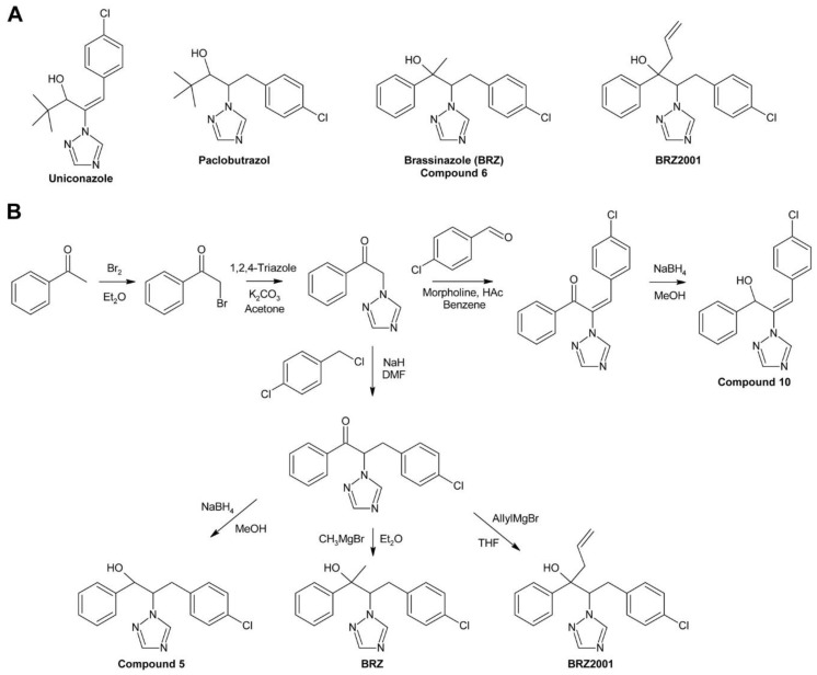 Figure 6