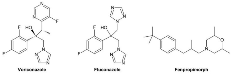 Figure 12