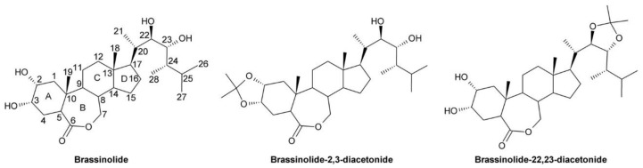 Figure 13