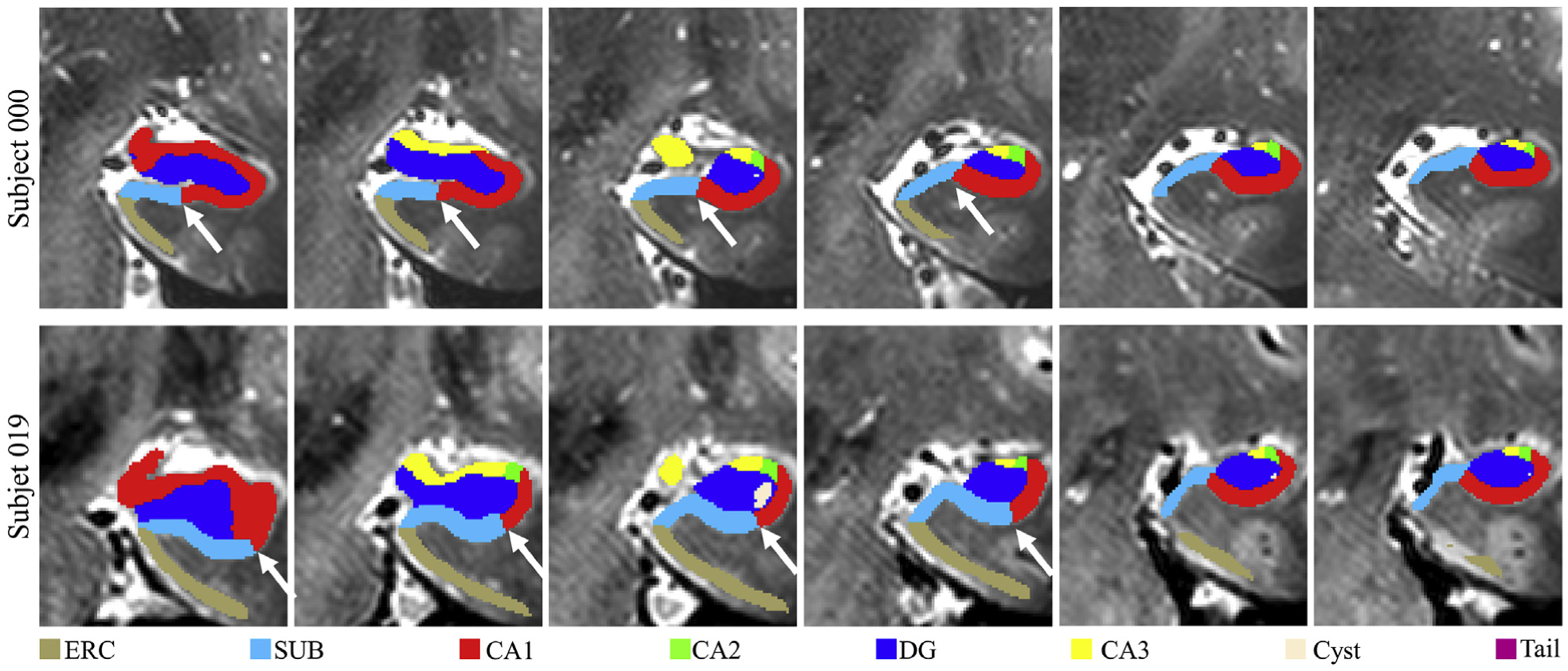 Fig. 7.