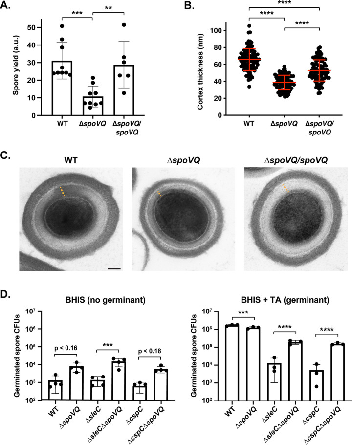 FIG 3