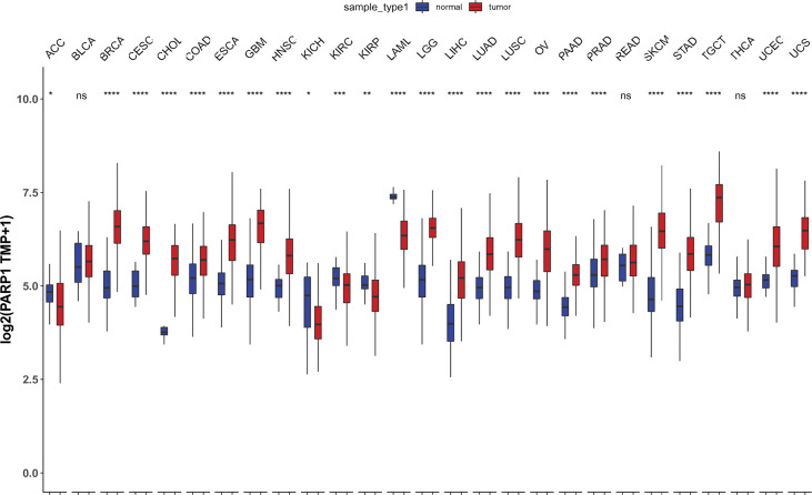 Figure 4