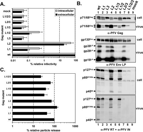 FIG. 3.