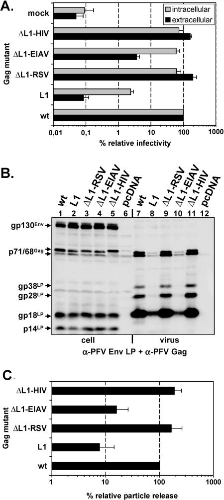 FIG. 5.