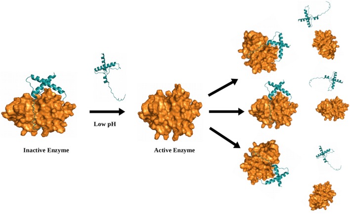 FIGURE 6