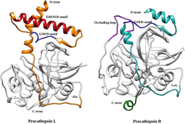 FIGURE 3