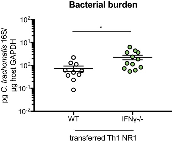 FIG 6