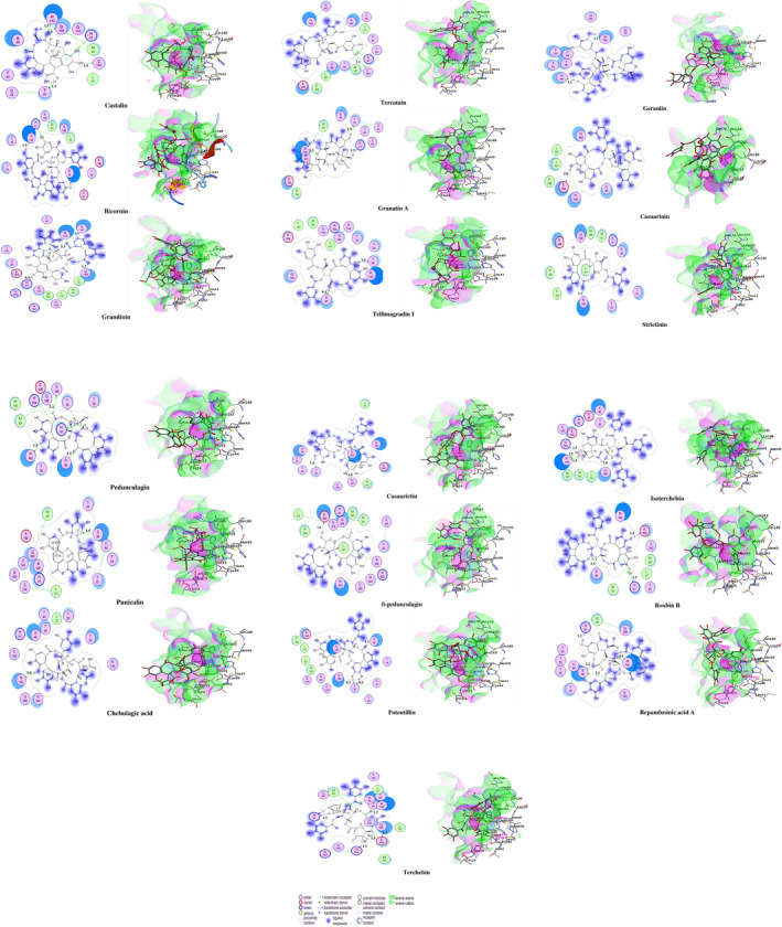 FIGURE 3