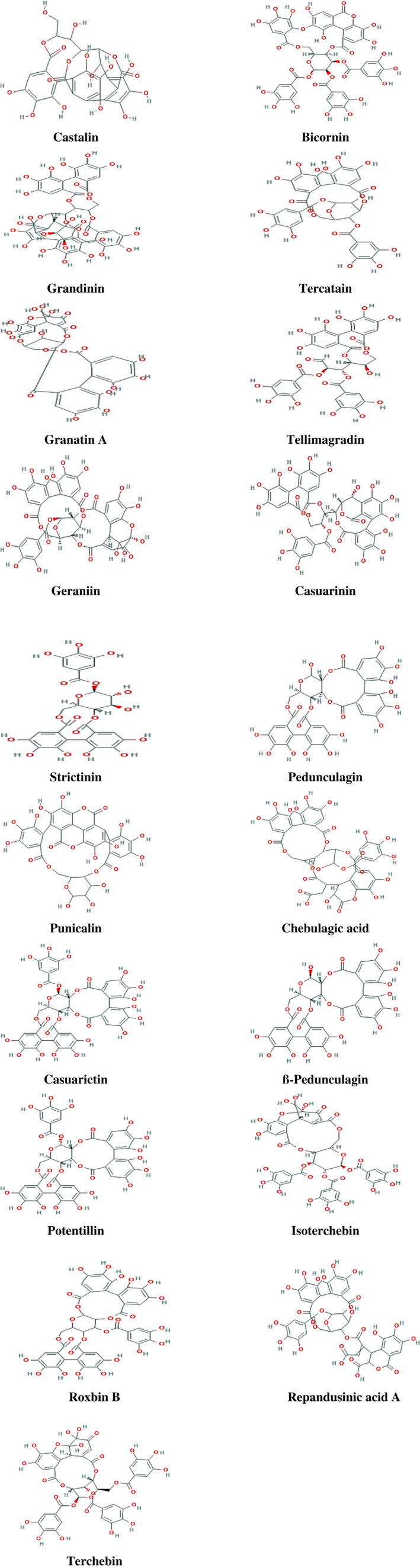 FIGURE 1