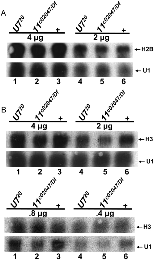 FIGURE 4.