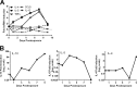 FIG 6